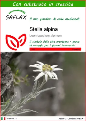 Immagine prodotto di SAFLAX - Stella alpina - 500 semi - Con substrato - Leontopodium
