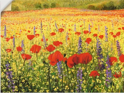 Produktbild von ARTland Wandbild, selbstklebend Mohnblumenfeld Größe: 80x60 cm