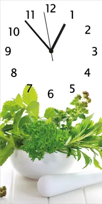 Produktbild von Wallario Design Wanduhr bedruckt, Größe 30 x 60 cm, Motiv: Welt der Kräuter - verschiedene Kräuter in einem weißen Mörser