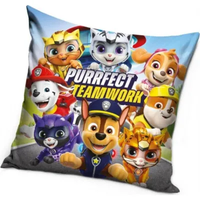 Produktbild von Bezug „Paw Patrol – Teamwork“ 40x40 cm