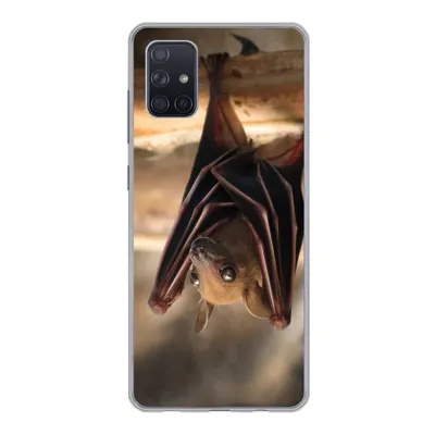 Produktbild von MuchoWow® Handyhülle Schutzhülle Hülle für Samsung Galaxy A71 Baby - Fledermaus - Holz Silikon Softcase Handy Hülle - Kartenbesitzer
