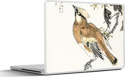 Produktbild von MuchoWow® Laptop Aufkleber Sticker Cover Vogel - Braun - Japanisch - Skandinavisch 30x21 cm - Sticker für Laptop - Selbstklebend
