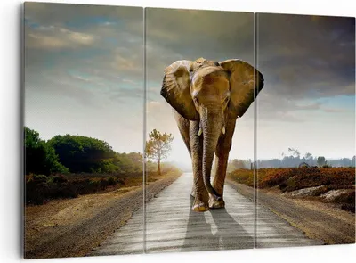 Produktbild von Bild auf Leinwand - Leinwandbild - Elefant Straße Landschaft - 165x110cm - Wand Bild - Wanddeko - Leinwanddruck - Bilder - Kunstdruck - Wanddekoration - Leinwand bilder - Wandkunst - CE165x110-0214