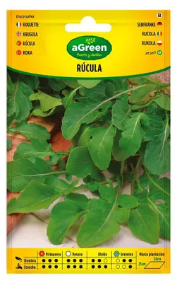 Produktbild von Agreen Rucolasamen Grün Grün One Size