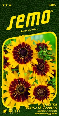Obrázok produktu pre RUDBEKIA srstnatá Gloria Daisy