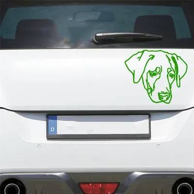 Produktbild von Auto Aufkleber Labrador LABI Labbi Hund Dog Hundekopf Hundefreund 15x13 cm Hellgrün Sticker Heckscheibenaufkleber