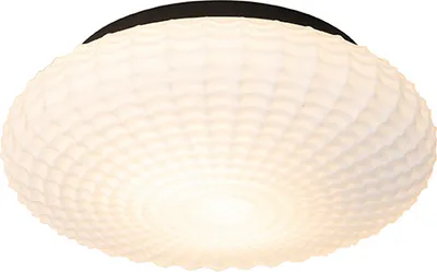 Produktbild von QAZQA - Klassisch I Antik Klassische Bad I Badezimmer Außen Deckenleuchte I Deckenlampe I Lampe I Leuchte schwarz mit Opalglas 35 cm IP44 - NohmiI 2-flammig I Außenbeleuchtung I Wohnzimmer I Schlafzim