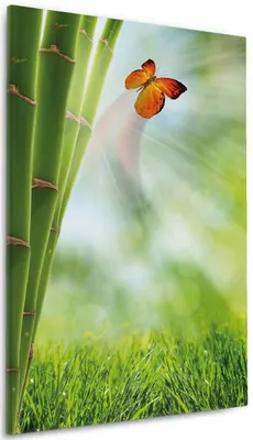 Produktbild von Wallario Premium Leinwandbild Schmetterling im Grünen mit Bambus in Größe 60 x 90 cm