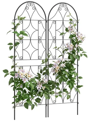 Immagine prodotto di Outsunny - Set da 2 graticci metallici da infilare, in acciaio inossidabile, per rampicanti, per giardino
