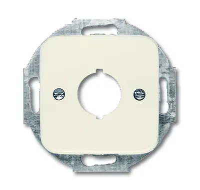 Produktbild von Busch-Jaeger 2534-212 Zentralscheibe, mit Tragring weiß
