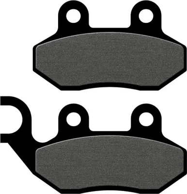 Immagine prodotto di Pastiglie per freni GALFER "FD188 Set G1050, Organis