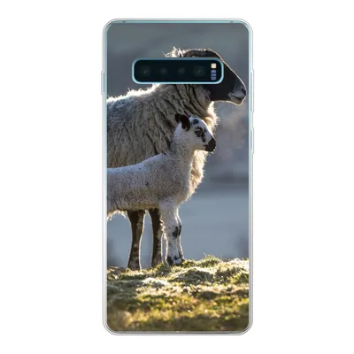 Produktbild von MuchoWow® Handyhülle Schutzhülle Hülle für Samsung Galaxy S10 Plus Schaf - Lamm - Sonne Silikon Softcase Handy Hülle - Schutzhülle