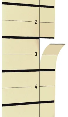 Produktbild von Pagna 44108-09, Beige, Karton, A4, 100 Stück(e)