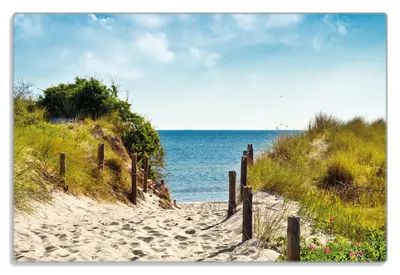 Produktbild von Wallario Frühstücksbrettchen aus Glas 20 x 30 cm mit rutschfesten Füßen, Motiv Auf dem Sandweg zum Strand