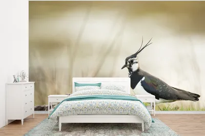 Produktbild von MuchoWow® Fototapete für Wohnzimmer oder Schlafzimmer Wandtapete Vinyl Motivtapete Vogel - Gras - Tiere - Natur - Kiebitz - 350x260 cm - Wohnzimmer-Tapete