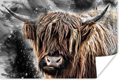 Produktbild von MuchoWow® Poster Schottischer Highlander - Farbe - Kuh 180x120 cm - Fotoplakat
