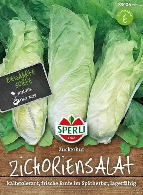 Produktbild von SPERLI Zichoriensalatsamen Zuckerhut Cichorium intybus 180 Pflanzen