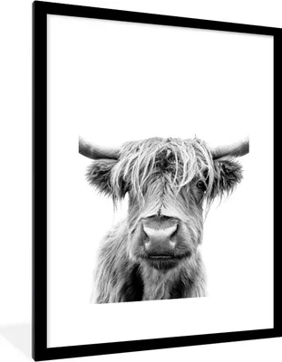 Produktbild von MuchoWow® Gerahmtes Poster Kuh - Schottischer Highlander - Schwarz - Weiß 60x80 cm - Poster mit Schwarzem Bilderrahmen Wandposter Rahmen Foto Bilder - Wohnzimmer - Dekorationen - Prämie