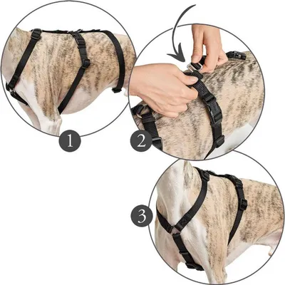 Image de Hunter harnais de panique Vario Rapid nylon noir taille : S