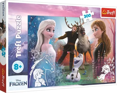 Image de Pz.Disney Frozen 300T