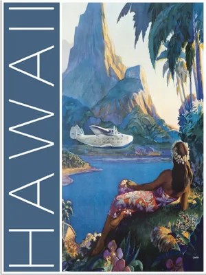 Produktbild von ARTland Wandbild Alu für Innen & Outdoor Hawaii Vintage Reiseplakat Größe: 30x40 cm