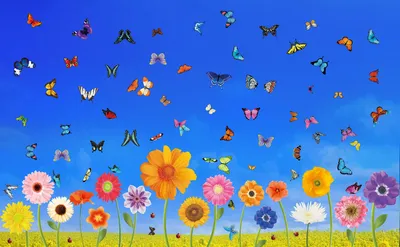 170+ Fensteraufkleber Blumen Schmetterlinge doppelseitig wiederverwendbar