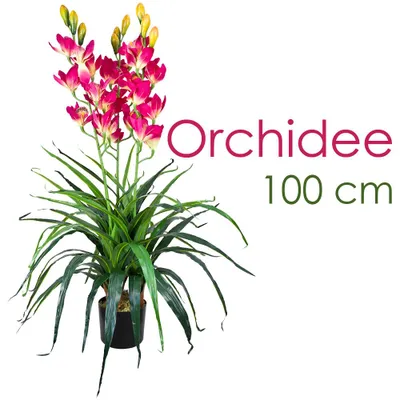 Image de Orchidée Plante Artificielle Artificiel avec Pot 100cm 27 Fleuraisons Rose Decovego