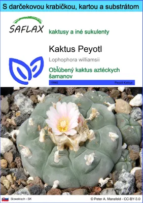Produktbild von SAFLAX Darčeková sada - Kaktus Peyotl - Lophophora williamsii - 20 Semená - S darčekovou krabičkou, prepravným štítkom, darčekovou kartou a pestovateľským médiom