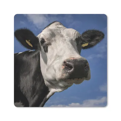 Produktbild von MuchoWow® Mauspad Mousepad Kuh - Weiß - Nase - Tiere 20x20 cm - Mousepads - Maus Mat - Pad - Mausunterlage - Desk Mat - Bureauartikeln