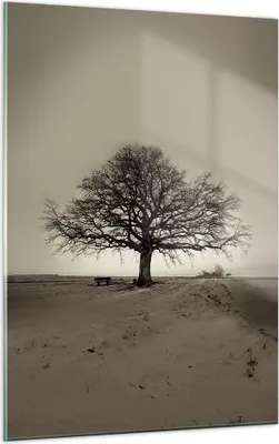 Produktbild von Bilder auf glas - Einteilig - Baum Schnee Sepia - 50x70cm - Glasbilder - Wandbilder - Bilder - zum Aufhängen bereit - Wanddekoration aus Glas - Glas Bilder - Wandbild auf Glas - GPA50x70-4161