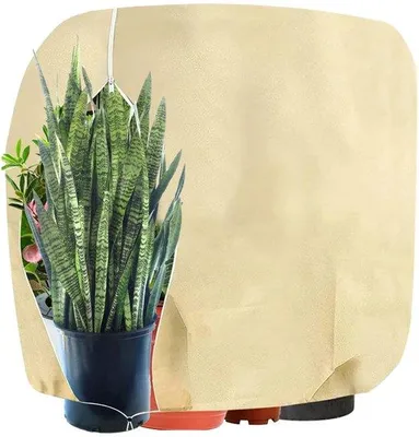Zdjęcie produktu dla Osłony ochronne Unyqoos® na rośliny, 2 sztuki, 120 x 180 cm – oddychająca włóknina ochronna na zimę z bocznym zamkiem i sznurkiem ściągającym, odporna na promieniowanie UV, wielokrotnego użytku