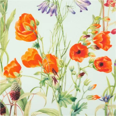 Produktbild von Outdoorstoff Meterware Digitaldruck Wiesenblumen hellblau bunt 140cm