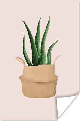 Produktbild von MuchoWow® Poster Pflanzen - Aloe Vera - Pastell - Rosa 20x30 cm - Papierdruck