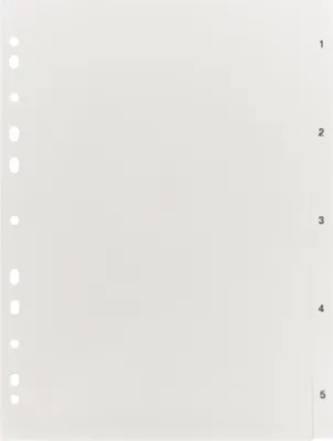 Produktbild von Register 192 A4 5tlg 1-5 ws 4021627001924