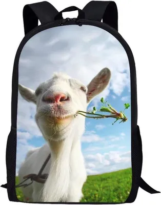 Produktbild von Schulrucksack für Kinder - Buchtasche - Reisegepäck - großes Hauptfach - 44 x 13 x 28 cm - Blau