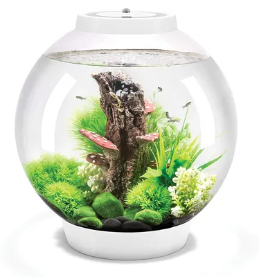 Immagine prodotto di Acquario biOrb CLASSIC 30 LED blu