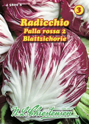 Produktbild von Radicchio Palla rossa 2 | Salatsamen von N.L. Chrestensen