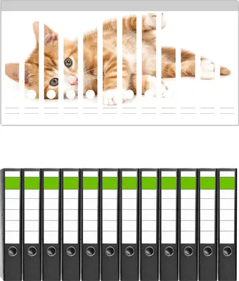 Produktbild von Wallario 12 Stück schmale Ordner inkl. Klebeetiketten mit Motive Süße Katze mit großen Augen - rot weiß getigert -  Set mit Rückenschildern / Ordnerrücken Stickern