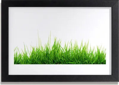 Produktbild von Bild 30x20 MDF-Rahmen Wandkunst Gras Natur Pflanze