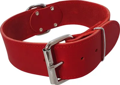 Obrázok produktu pre Nobby golier "TABIL" extra breit rot 65 cm (51-61 cm), 50 mm