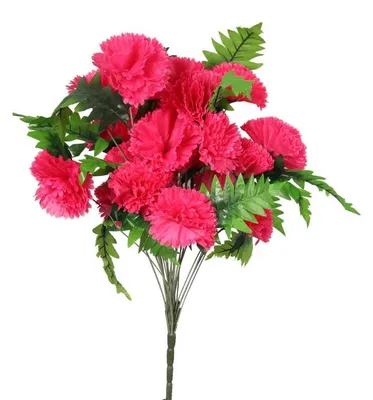 Productafbeelding van Boeket van 24 roze anjers met varens