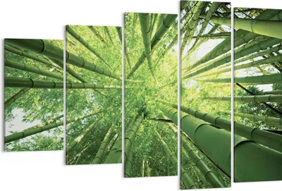 Produktbild von Bild auf Leinwand - Leinwandbild - 5 Teile - Bambus Dschungel Grün - 150x100cm - Wand Bild - Wanddeko - Wandbilder - Leinwanddruck - Bilder - Wanddekoration - Leinwand bilder - EG150x100-4235