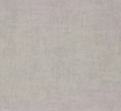 Produktbild von Vliestapete 489859 Tapete Uni Einfarbig 53 x 1005 cm Rasch Young Artists Grau