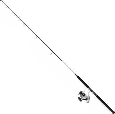 Produktbild von Daiwa Jigging D Wave Angelset Schwarz 1.80 m / 100-300 g Schwarz 1.80 m