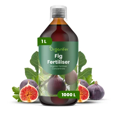 Obrázok produktu pre Fig Tekuté hnojivo 1 L – 2-1-8 (NPK) – Pre figy a ovocné rastliny – Podporuje silný rast, zdravé listy a kvalitu plodov – Organický produkt