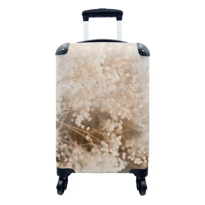 Produktbild von MuchoWow® Koffer Handgepäck Trolley Rollkoffer Kleine Reisekoffer mit 4 Rollen - Pampasgras - Pflanze - Natur - Cabin Size < 55x40x23 cm & 55x40x20 cm - Fotokoffer - Kabinenkoffer - Boardgepäck - Reise-Box - Reisekoffer - Reisegepäck - Koffer mit Bild - Trolley für Kinder