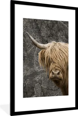 Produktbild von MuchoWow® Gerahmtes Poster Schottische Highlander - Kühe - Weltkarte 60x90 cm - Poster mit Schwarzem Bilderrahmen Wandposter Rahmen Foto Bilder - Dekoration - Wandposter Wohnzimmer - Hochwertig