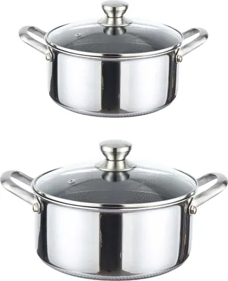 Two stainless steel pots with glass lids are displayed against a white background.