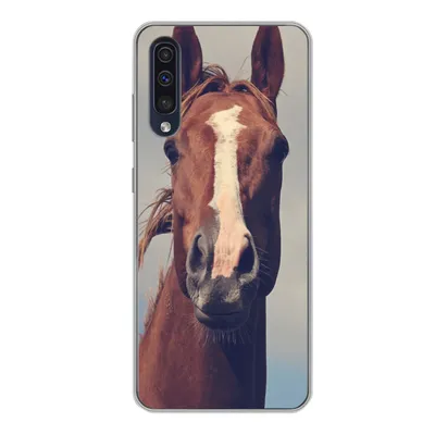 Produktbild von MuchoWow® Handyhülle Schutzhülle Hülle für Samsung Galaxy A50 Pferd - Luft - Blau Silikon Softcase Handy Hülle - Mobiltelefonhülle