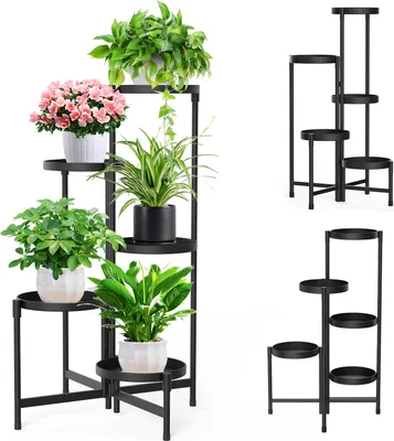 Multiple black metal plant stands with various potted plants.